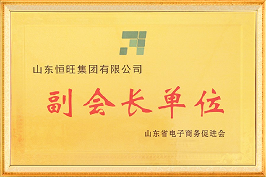 山東省電子商務(wù)促進(jìn)會副會長單位